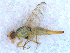  ( - DNA 20090522-35)  @11 [ ] Copyright (2010) Unspecified NCB Naturalis
