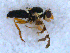  ( - DNA 20090523-09)  @12 [ ] Copyright (2010) Unspecified NCB Naturalis
