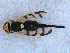  ( - DNA 20090523-10)  @14 [ ] Copyright (2010) Unspecified NCB Naturalis