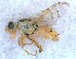  ( - DNA 20090523-15)  @11 [ ] Copyright (2010) Unspecified NCB Naturalis