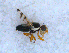  ( - DNA 20090523-17)  @13 [ ] Copyright (2010) Unspecified NCB Naturalis