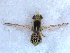  ( - DNA 20090523-27)  @15 [ ] Copyright (2010) Unspecified NCB Naturalis