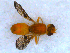  ( - DNA 20090523-31)  @15 [ ] Copyright (2010) Unspecified NCB Naturalis