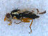  ( - DNA 20090604-02)  @12 [ ] Copyright (2010) Unspecified NCB Naturalis