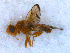  ( - DNA 20090606-04)  @11 [ ] Copyright (2010) Unspecified NCB Naturalis