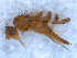  ( - DNA 20090610-22)  @13 [ ] Copyright (2010) Unspecified NCB Naturalis