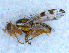  ( - DNA 20090612-18)  @13 [ ] Copyright (2010) Unspecified NCB Naturalis