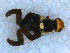  ( - DNA 20090613-16)  @14 [ ] Copyright (2010) Unspecified NCB Naturalis