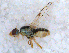  ( - DNA 20090613-32)  @13 [ ] Copyright (2010) Unspecified NCB Naturalis