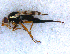  ( - DNA 20090620-01)  @12 [ ] Copyright (2010) Unspecified NCB Naturalis