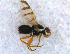  ( - DNA 20090622-07)  @13 [ ] Copyright (2010) Unspecified NCB Naturalis