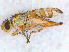 ( - DNA 20090625-05)  @14 [ ] Copyright (2010) Unspecified NCB Naturalis