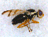  ( - DNA 20090625-08)  @13 [ ] Copyright (2010) Unspecified NCB Naturalis