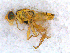  ( - DNA 20090625-25)  @11 [ ] Copyright (2010) Unspecified NCB Naturalis