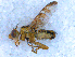  ( - DNA 20090627-14)  @13 [ ] Copyright (2010) Unspecified NCB Naturalis
