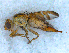  ( - DNA 20090627-35)  @13 [ ] Copyright (2010) Unspecified NCB Naturalis