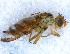  ( - DNA 20090704-22)  @13 [ ] Copyright (2010) Unspecified NCB Naturalis