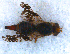  ( - DNA 20090704-44)  @14 [ ] Copyright (2010) Unspecified NCB Naturalis