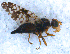  ( - DNA 20090704-50)  @12 [ ] Copyright (2010) Unspecified NCB Naturalis