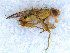  ( - DNA 20090705-17)  @14 [ ] Copyright (2010) Unspecified NCB Naturalis