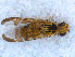  ( - DNA 20090705-17)  @14 [ ] Copyright (2010) Unspecified NCB Naturalis