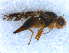  ( - DNA 20090705-25)  @14 [ ] Copyright (2010) Unspecified NCB Naturalis