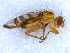  ( - DNA 20090707-08)  @14 [ ] Copyright (2010) Unspecified NCB Naturalis