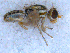  ( - DNA 20090707-24)  @13 [ ] Copyright (2010) Unspecified NCB Naturalis