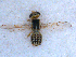  ( - DNA 20090707-24)  @14 [ ] Copyright (2010) Unspecified NCB Naturalis