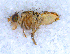  ( - DNA 20090707-31)  @14 [ ] Copyright (2010) Unspecified NCB Naturalis