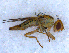  ( - DNA 20090707-64)  @14 [ ] Copyright (2010) Unspecified NCB Naturalis