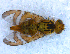  ( - DNA 20090712-03)  @14 [ ] Copyright (2010) Unspecified NCB Naturalis