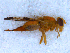  ( - DNA 20090718-21)  @15 [ ] Copyright (2010) Unspecified NCB Naturalis