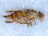  ( - DNA 20090721-11)  @13 [ ] Copyright (2010) Unspecified NCB Naturalis
