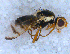  ( - DNA 20090723-11)  @12 [ ] Copyright (2010) Unspecified NCB Naturalis