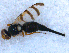  ( - DNA 20090726-75)  @13 [ ] Copyright (2010) Unspecified NCB Naturalis