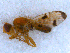  ( - DNA 20090808-02)  @11 [ ] Copyright (2010) Unspecified NCB Naturalis