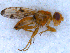  ( - DNA 20090808-06)  @13 [ ] Copyright (2010) Unspecified NCB Naturalis