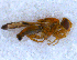  ( - DNA 20090808-21)  @15 [ ] Copyright (2010) Unspecified NCB Naturalis