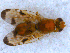  ( - DNA 20090808-21)  @15 [ ] Copyright (2010) Unspecified NCB Naturalis