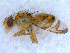  ( - DNA 20090813-05)  @13 [ ] Copyright (2010) Unspecified NCB Naturalis