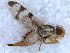  ( - DNA 20090819-01 a)  @13 [ ] Copyright (2010) Unspecified NCB Naturalis