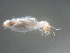  ( - UF_CO282_01)  @11 [ ] Copyright  Unspecified Unspecified