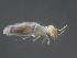  ( - UF_FG298_01)  @11 [ ] Copyright  Unspecified Unspecified