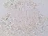  ( - UF_FG62_1)  @12 [ ] Copyright  Unspecified Unspecified