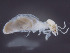  ( - UF_NI436_01)  @11 [ ] Copyright  Unspecified Unspecified