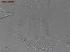  ( - UF_PA505_01)  @11 [ ] Copyright  Unspecified Unspecified