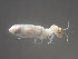  ( - UF_VZ1103_01)  @11 [ ] Copyright  Unspecified Unspecified