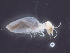  ( - UF_VZ218_01)  @12 [ ] Copyright  Unspecified Unspecified