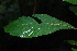  ( - SMC41)  @11 [ ] CreativeCommons - Attribution Non-Commercial Share-Alike (2019) Rafael F. del Castillo Instituto Politécnico Nacional